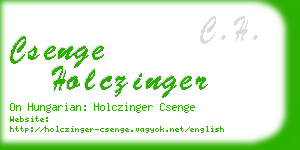 csenge holczinger business card